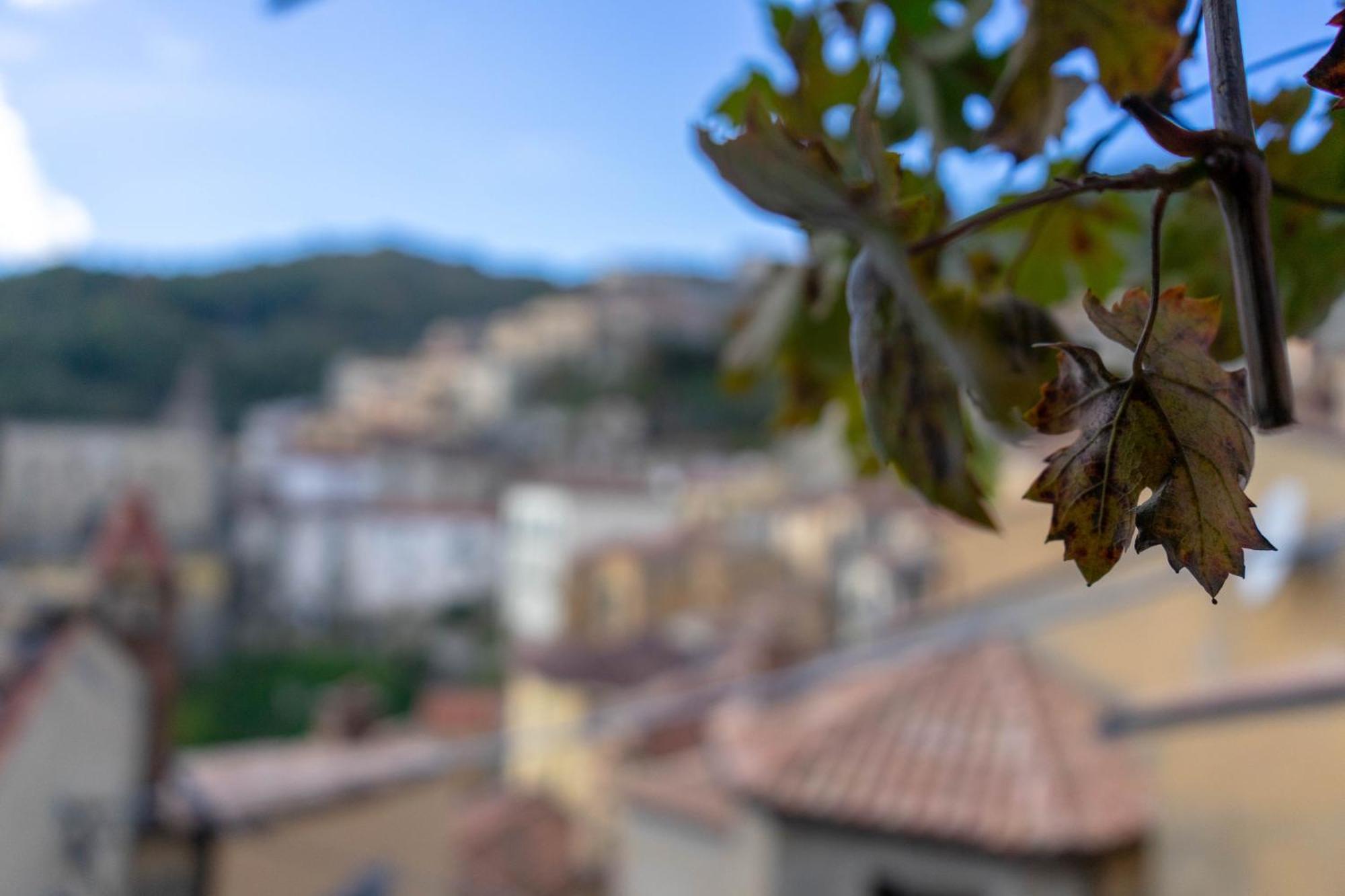 B&B Sud E Magia Castelmezzano Zewnętrze zdjęcie